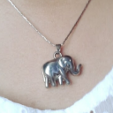 girasol-en-crecimiento avatar