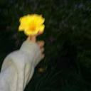 girasol98-blog avatar