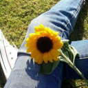 girasols-world avatar