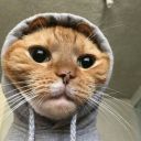 girkaranligimabulbeni avatar