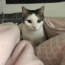 girl-bug-thoughts avatar