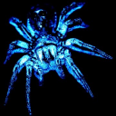 girl-clownish avatar