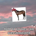 girl-detector avatar