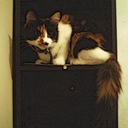 girl-hearts-candy avatar