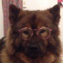 girl-help-im-hyperfixating avatar