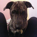 girl-in-a-hole avatar