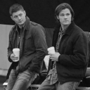 girl-is-a-gun avatar