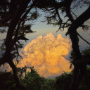 girl-star-girl avatar