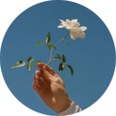 girl-vs-chaos avatar