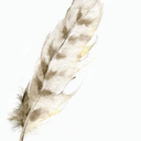 girl-with-a-quill avatar