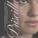 girlbloggerwikusia avatar