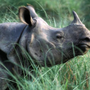 girlbossguwahati avatar