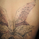 girlboycretin avatar