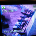 girldelulu-xoxo avatar