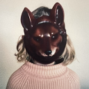 girlfriendland avatar