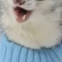 girlghost-004 avatar