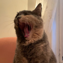 girlionceknew avatar