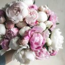 girlishramblings avatar