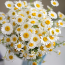 girljusttrying97 avatar