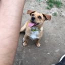 girlmeetsgays avatar