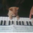 girlnextdoor555 avatar