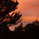 girlofstarsandmistakes avatar