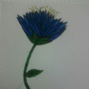 girlofthebluerose avatar