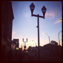 girlontheterrace avatar