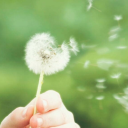 girlpower-ful-sneezes avatar