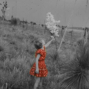 girls-like-flowers avatar