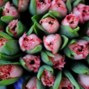 girlsandblossoms avatar