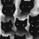 girlsdressedascats avatar