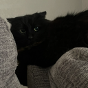 girlthatblogs avatar