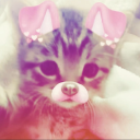 girlwhoresstuff avatar