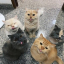 girlwithacure avatar