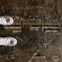 girlwithatruck avatar