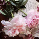 girlwithherheadinthestars avatar