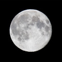 girlwithluv20 avatar