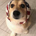 girlwithnojob25 avatar