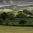 girlwizard222 avatar