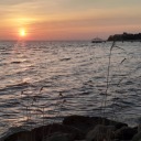 gitaristbirmisir avatar