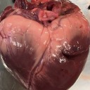 giuliadellechiavi avatar