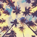 give-me-six-inches-a-space avatar