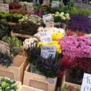 giveallthisandheaventoo avatar