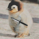 giveapenguinadagger avatar