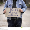 givehelpdogood avatar