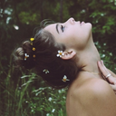 giveme-flowers avatar