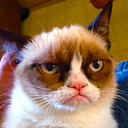 givemeabreake avatar