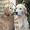 givemeanightmare avatar