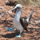 givemeyourspine avatar